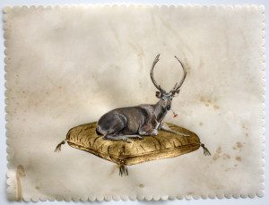 my dear, gouache, oak gall ink and gold leaf on deer parchment, 18"x24"