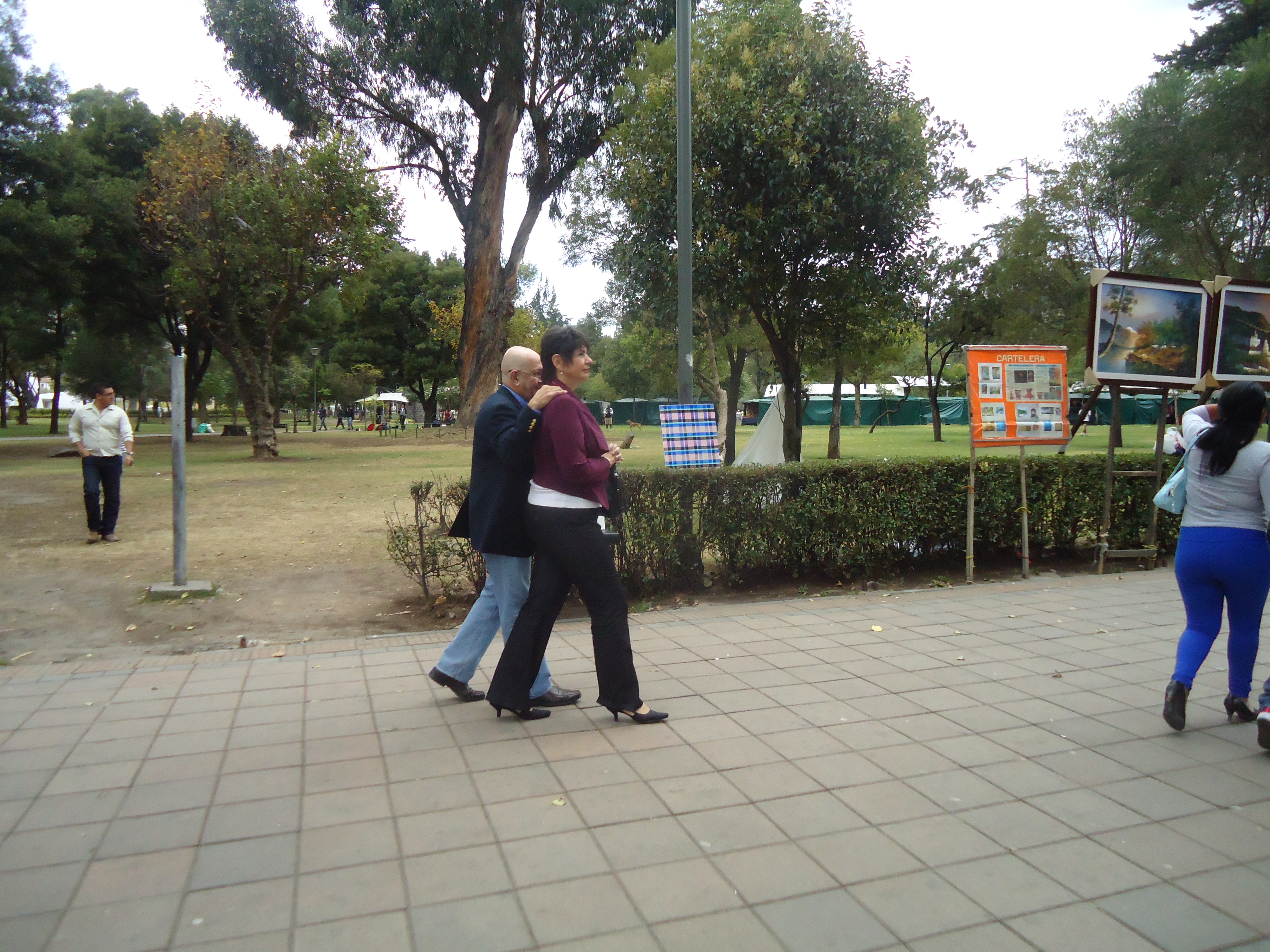 Dushko Petrovich, Regionalism, Installation in Parque El Ejido, Quito, Ecuador, 2013